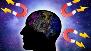 How to manifest anything you want in life